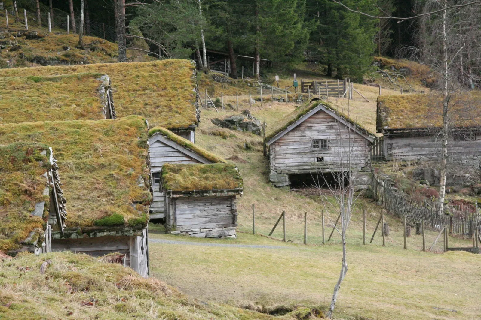 Sunnfjord museum