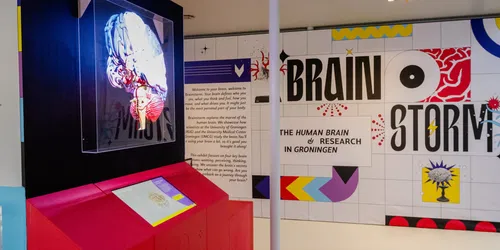 Brainstorm: The Human Brain & Research in Groningen