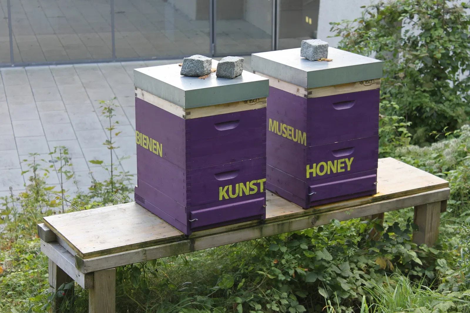 Museum of Modern Art Salzburg