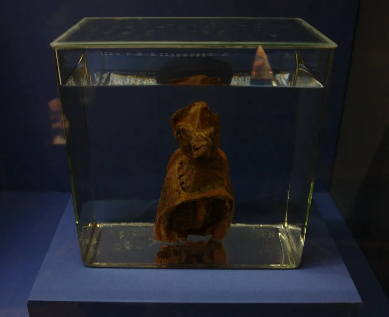 Universalmuseum Joanneum