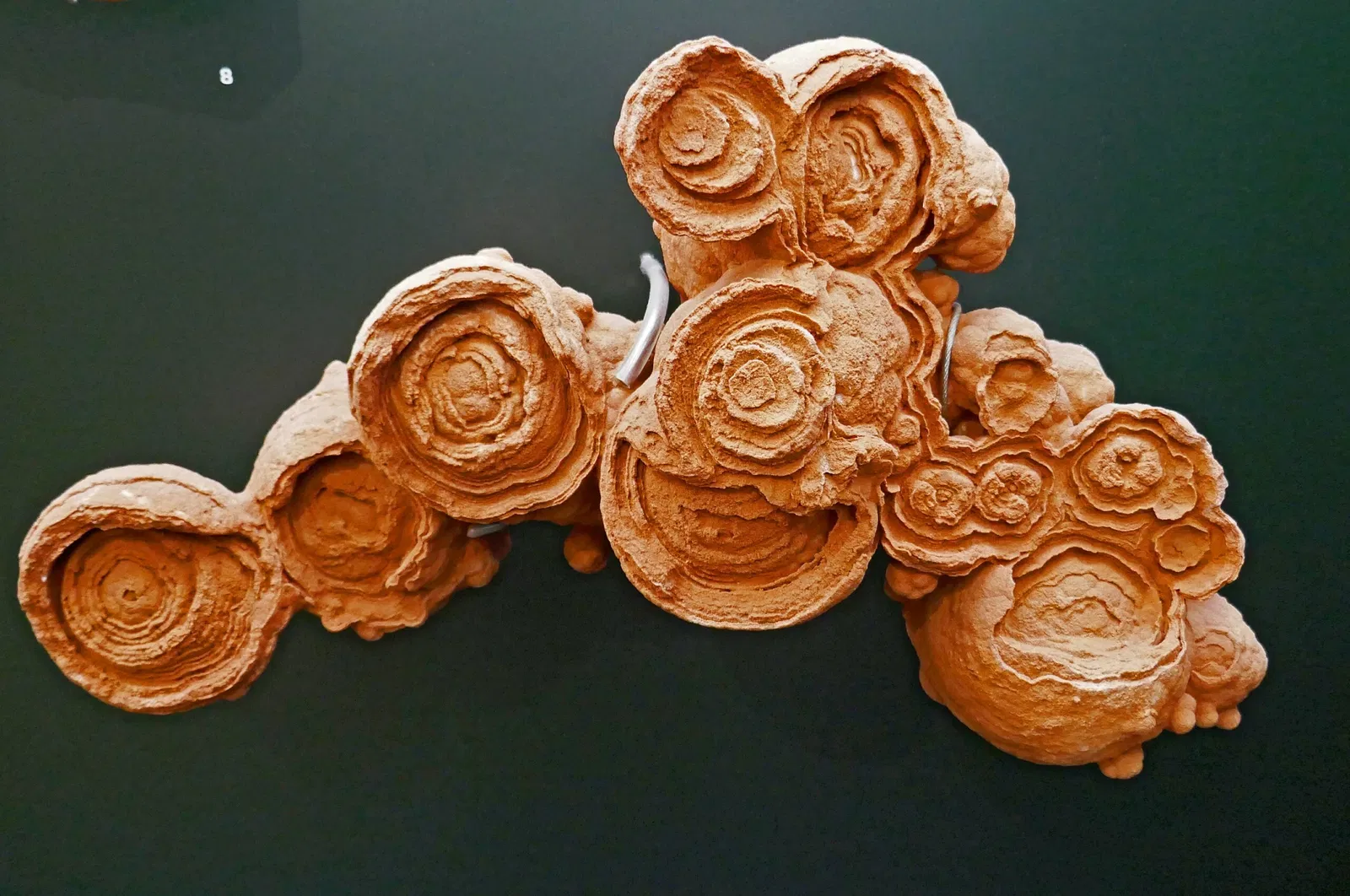 Universalmuseum Joanneum