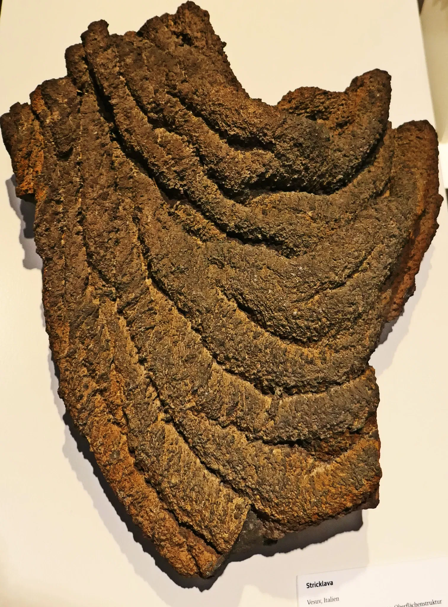 Museo Universal Joanneum