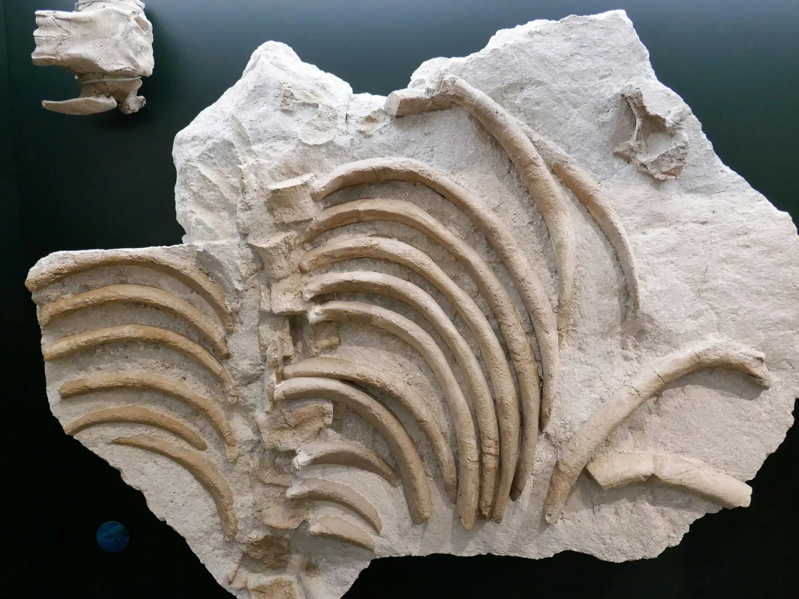 Universalmuseum Joanneum