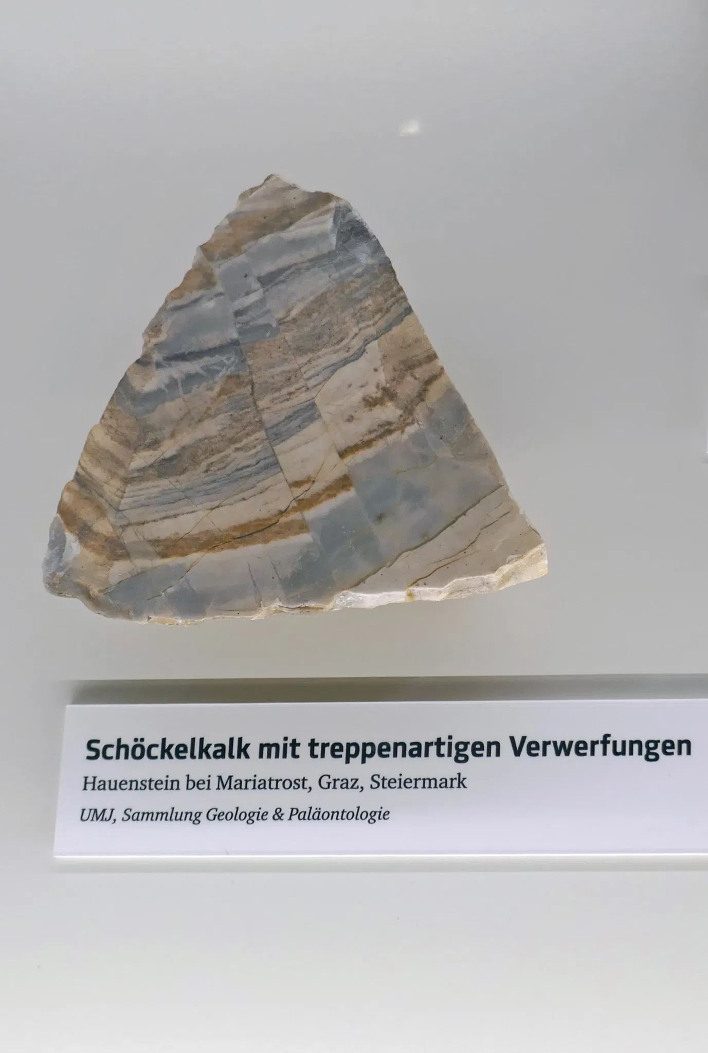 Joanneum Universal Museum