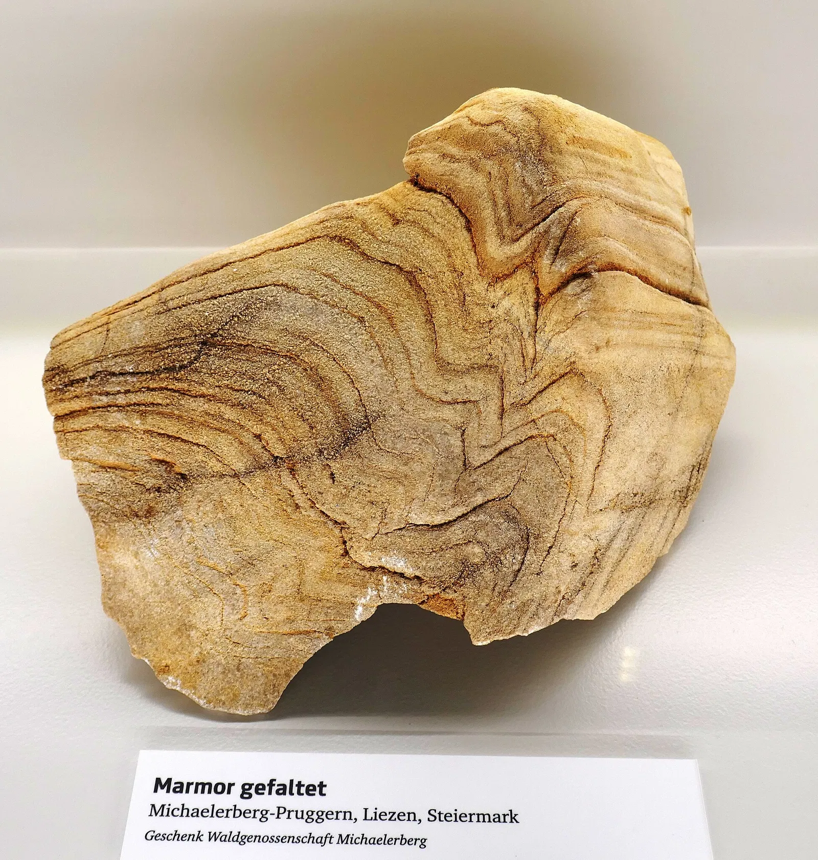 Universalmuseum Joanneum