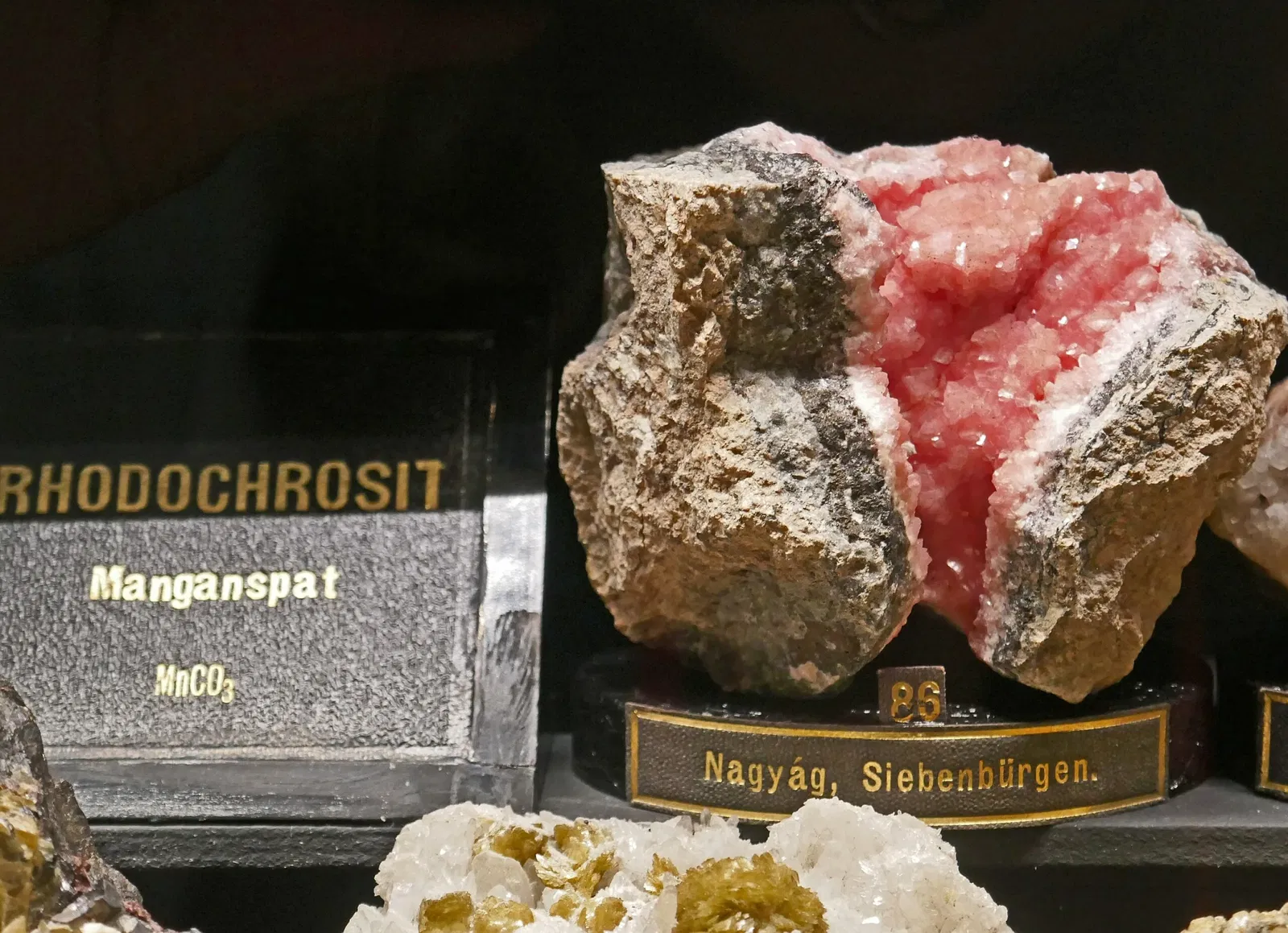 Universalmuseum Joanneum