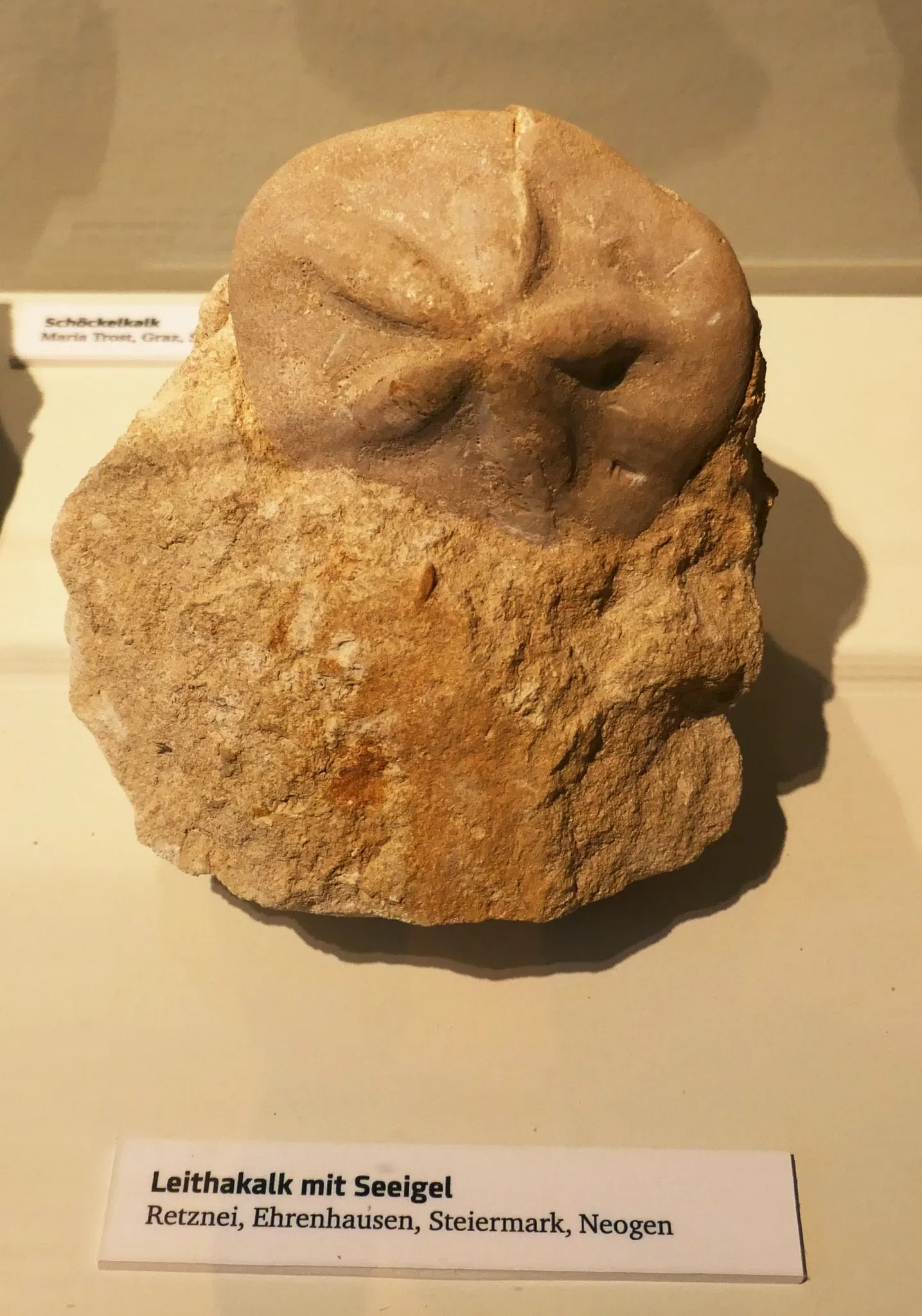 Musée universel de Joanneum