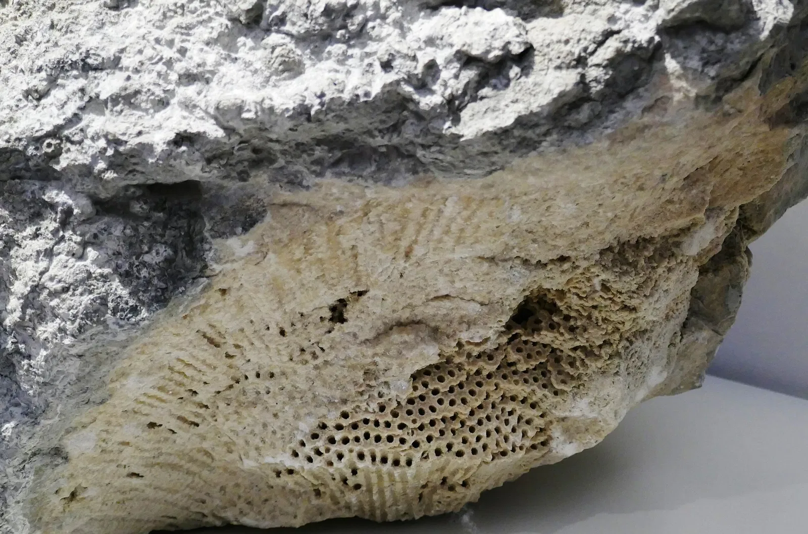 Musée universel de Joanneum