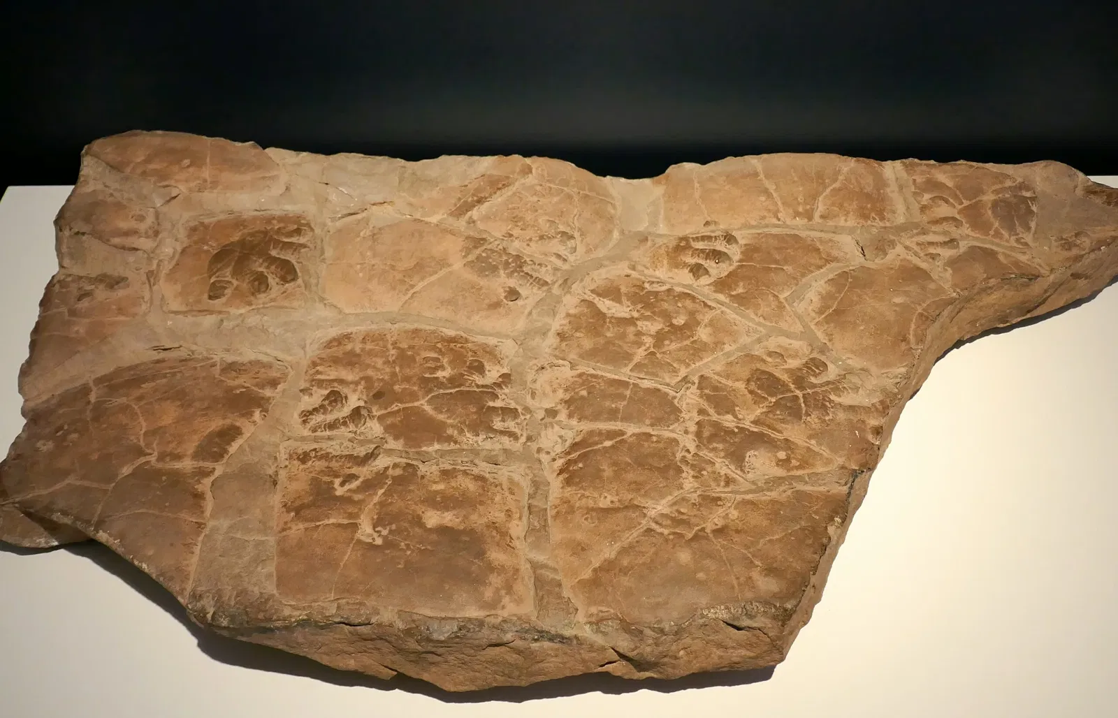 Joanneum Universal Museum