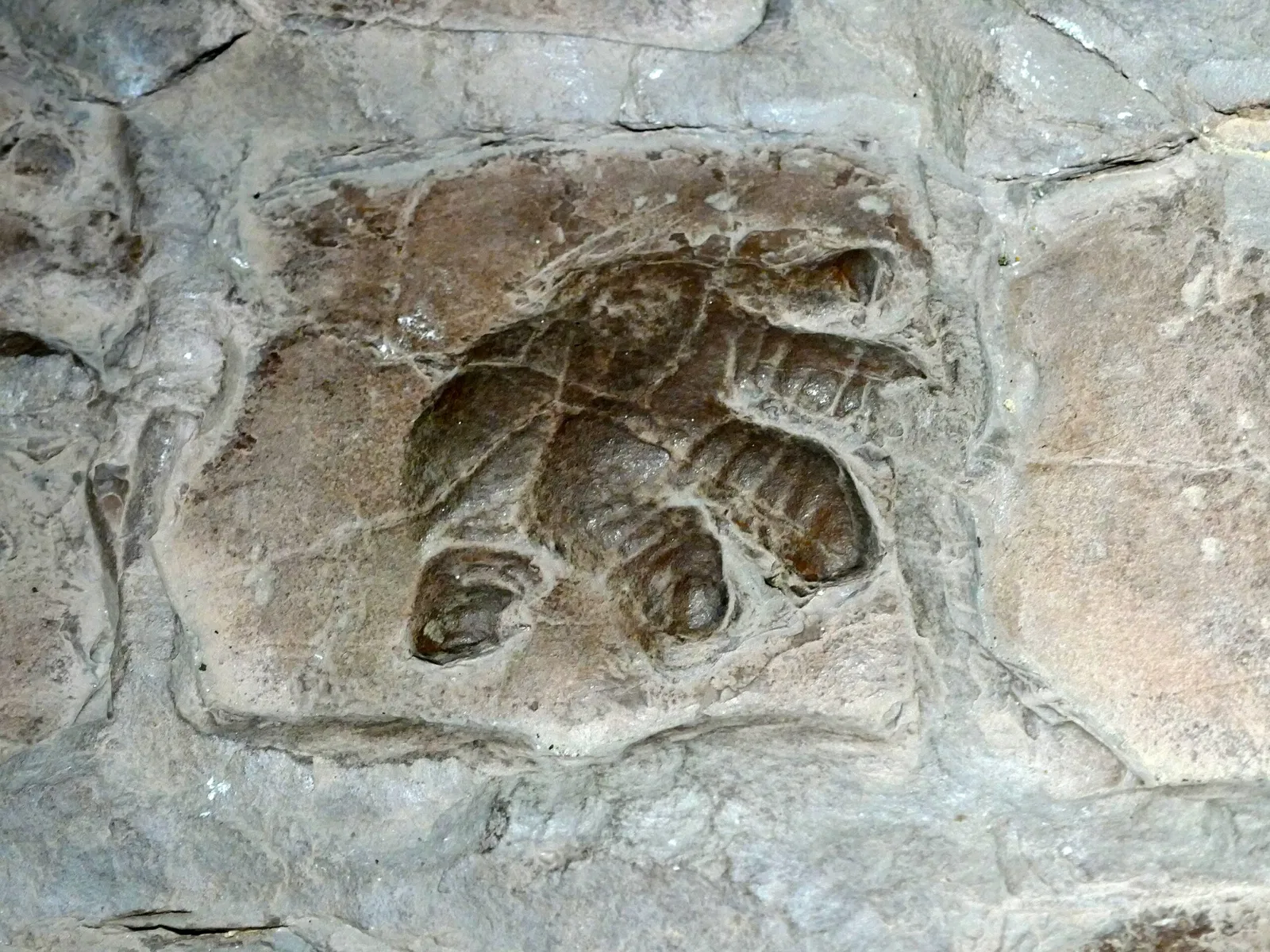 Universalmuseum Joanneum