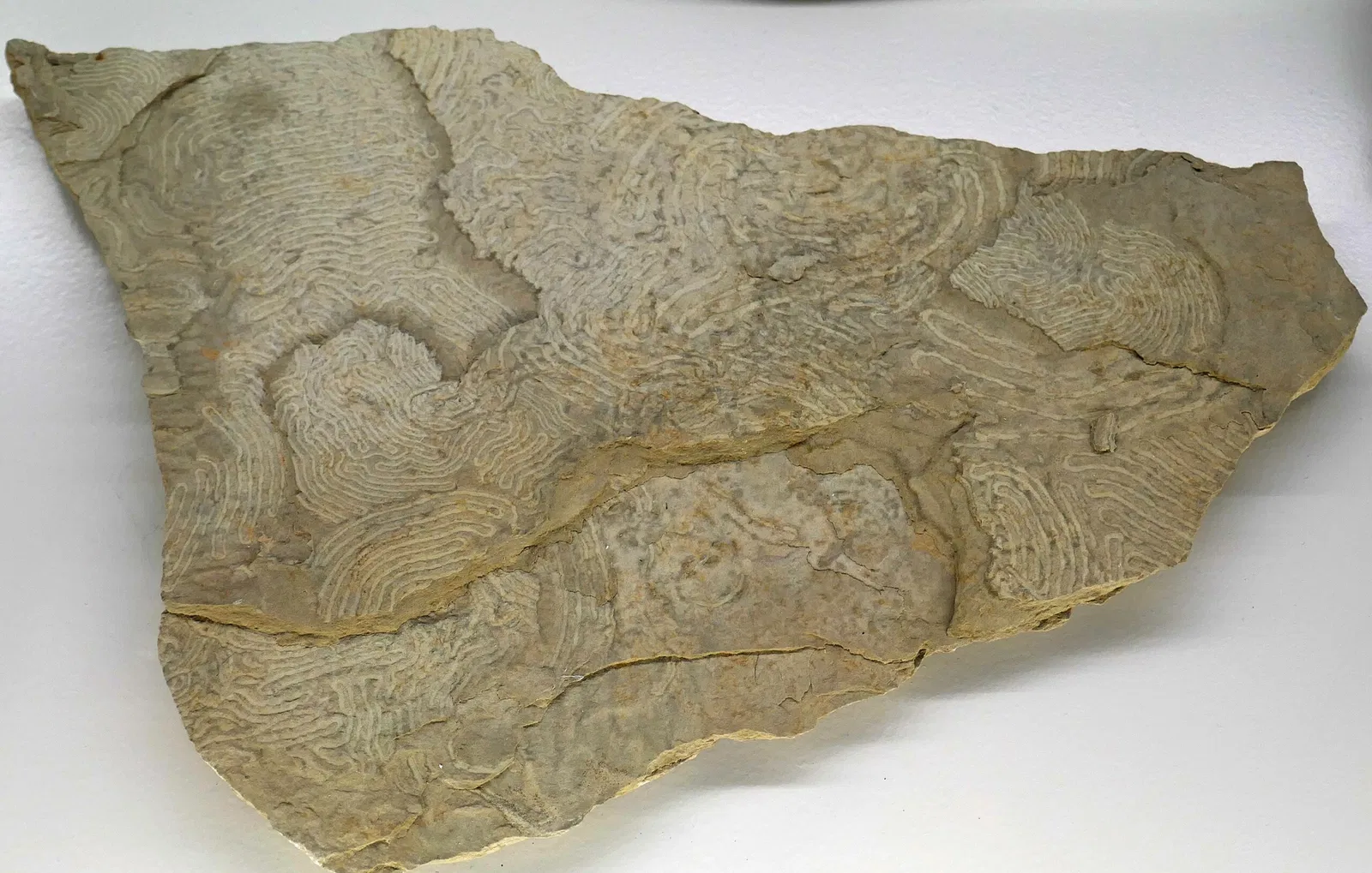 Universalmuseum Joanneum