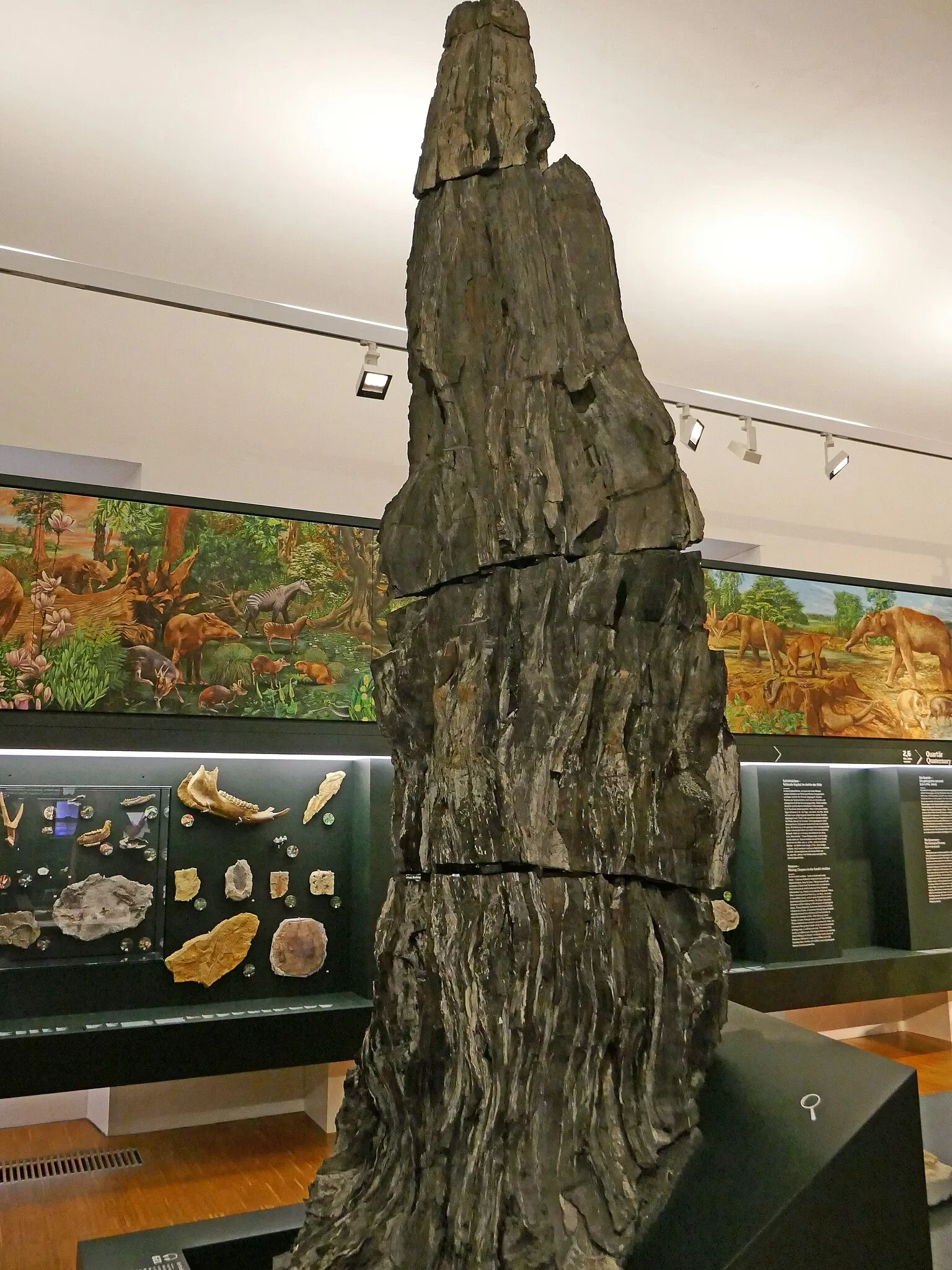 Musée universel de Joanneum