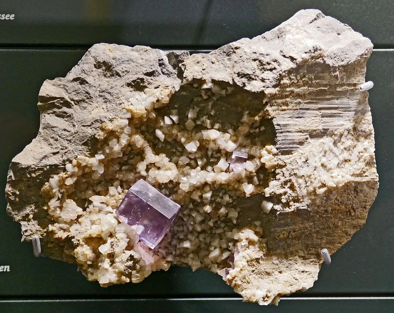 Universalmuseum Joanneum