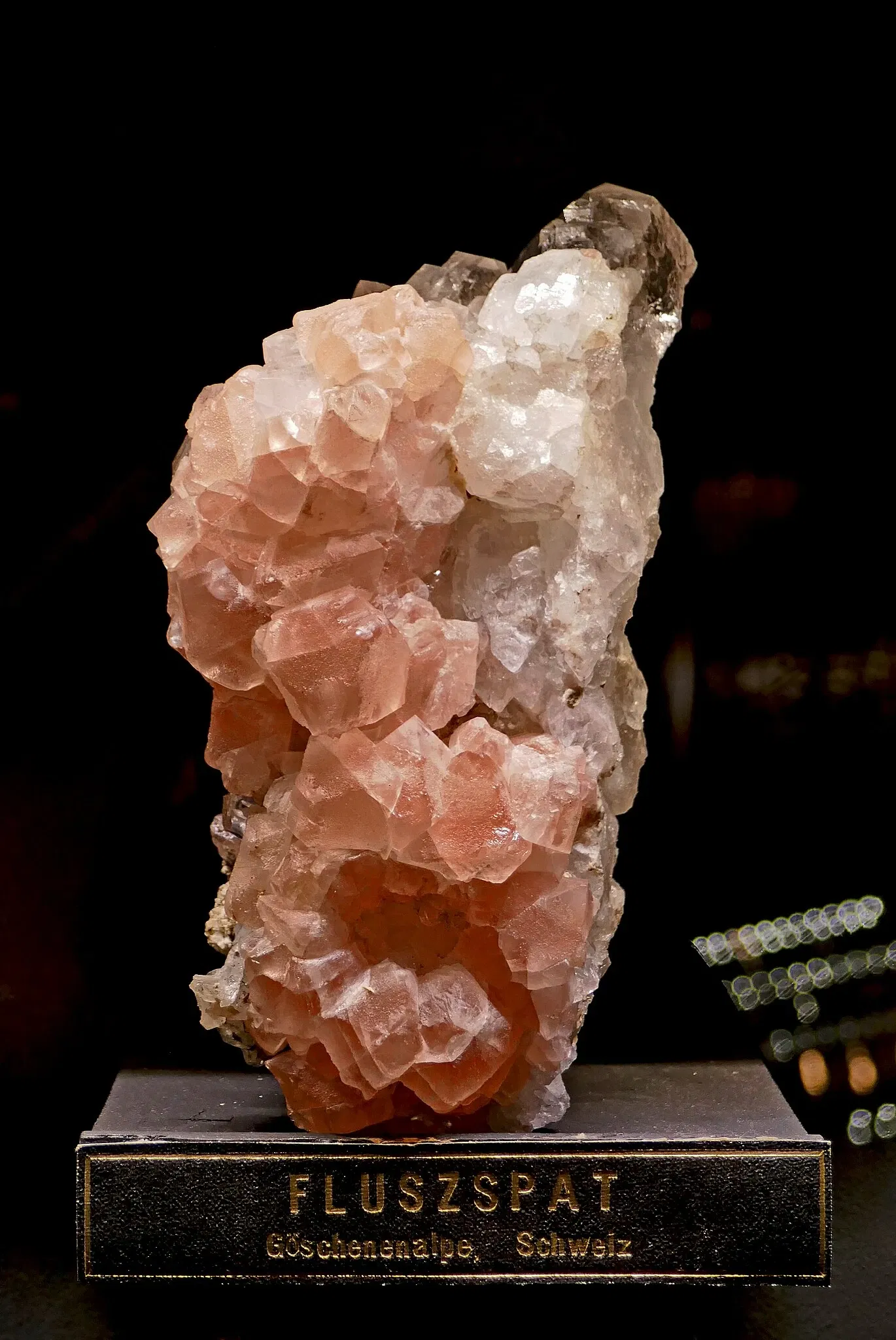 Musée universel de Joanneum