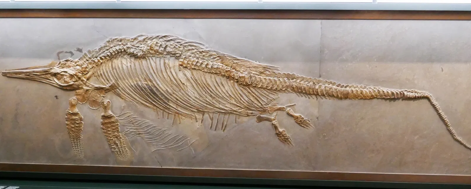 Universalmuseum Joanneum