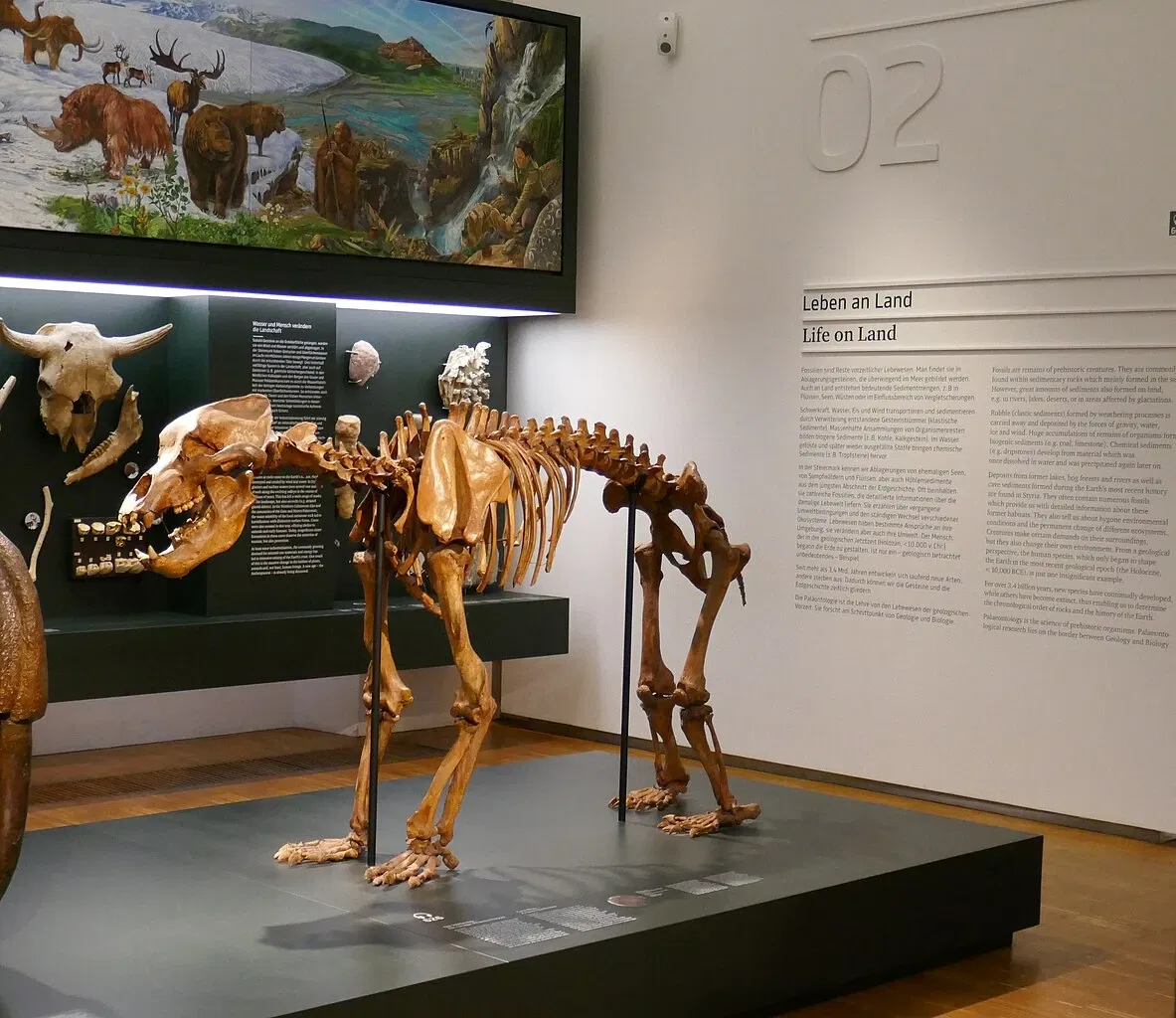 Joanneum Universal Museum