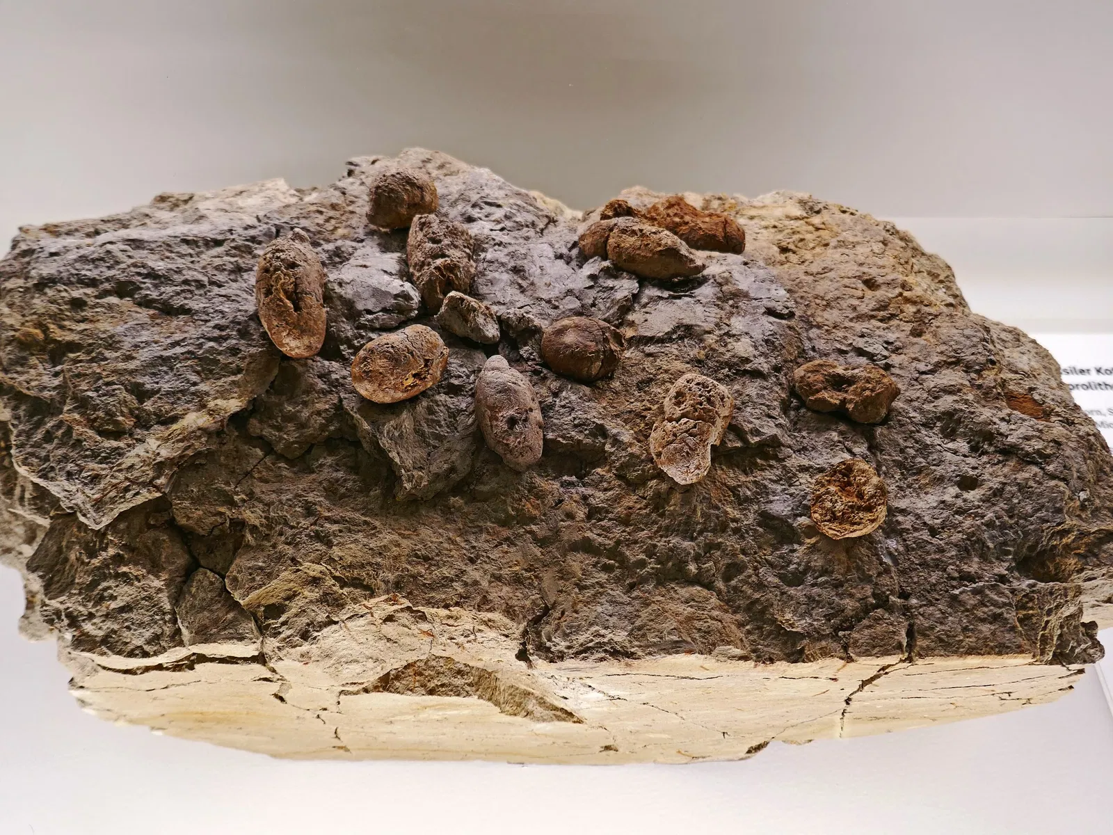 Joanneum Universal Museum