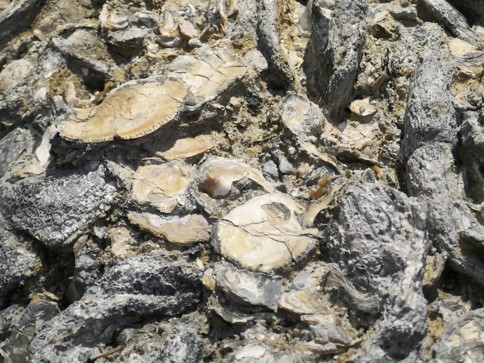 Musée universel de Joanneum