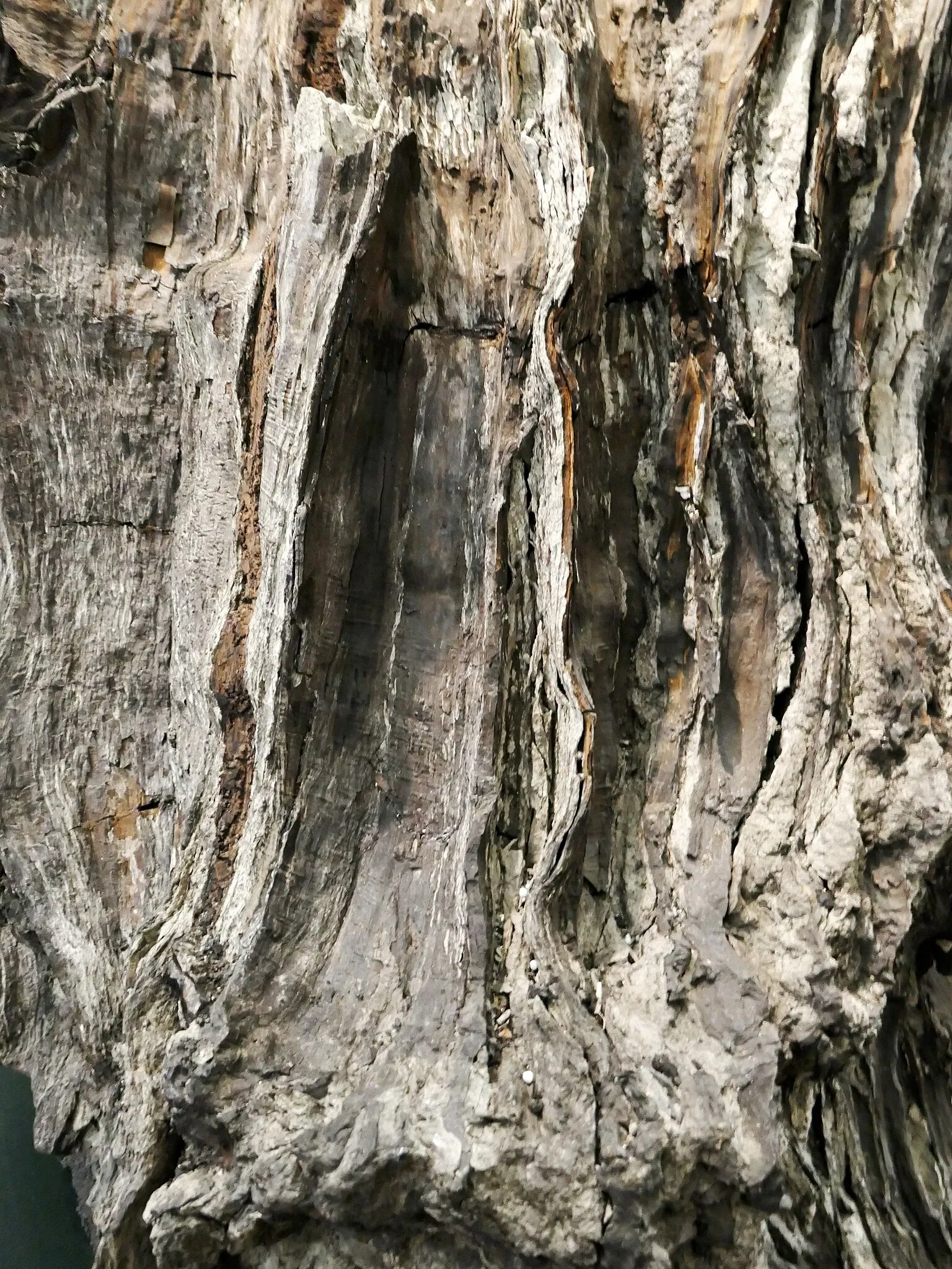 Joanneum Universal Museum