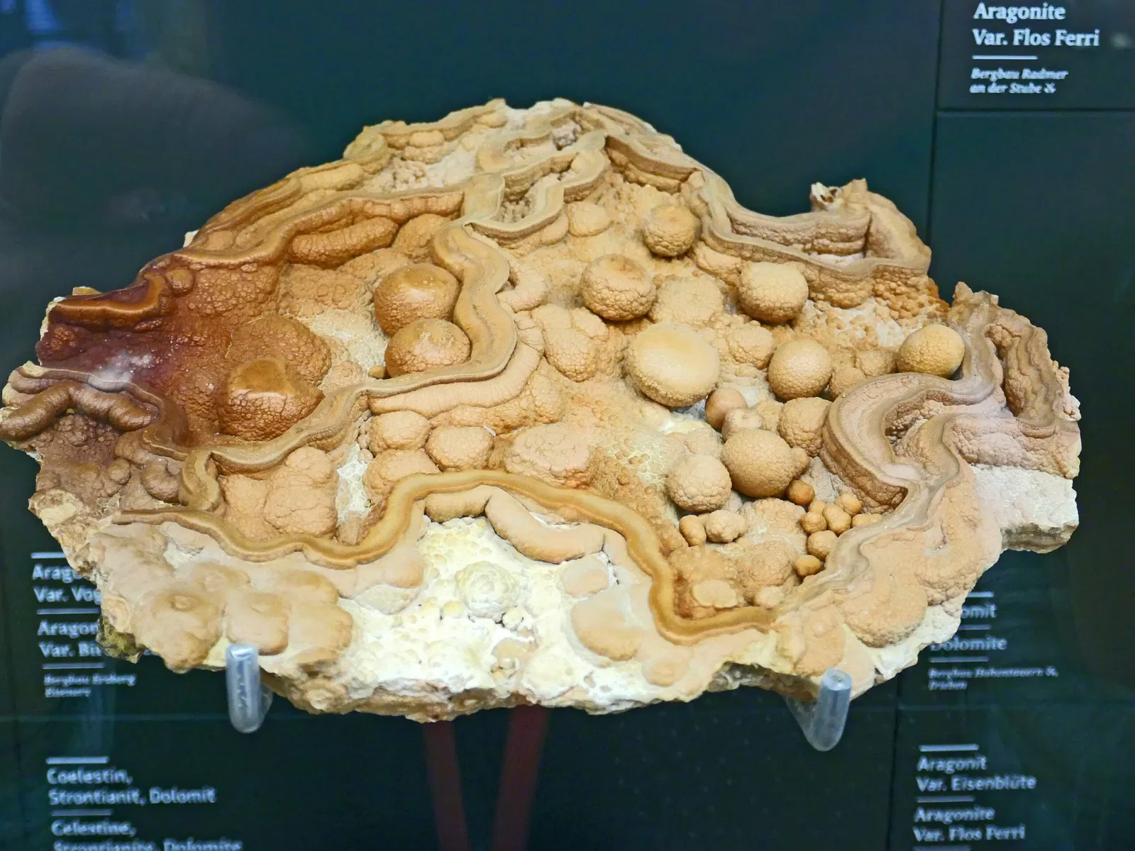 Museo Universal Joanneum