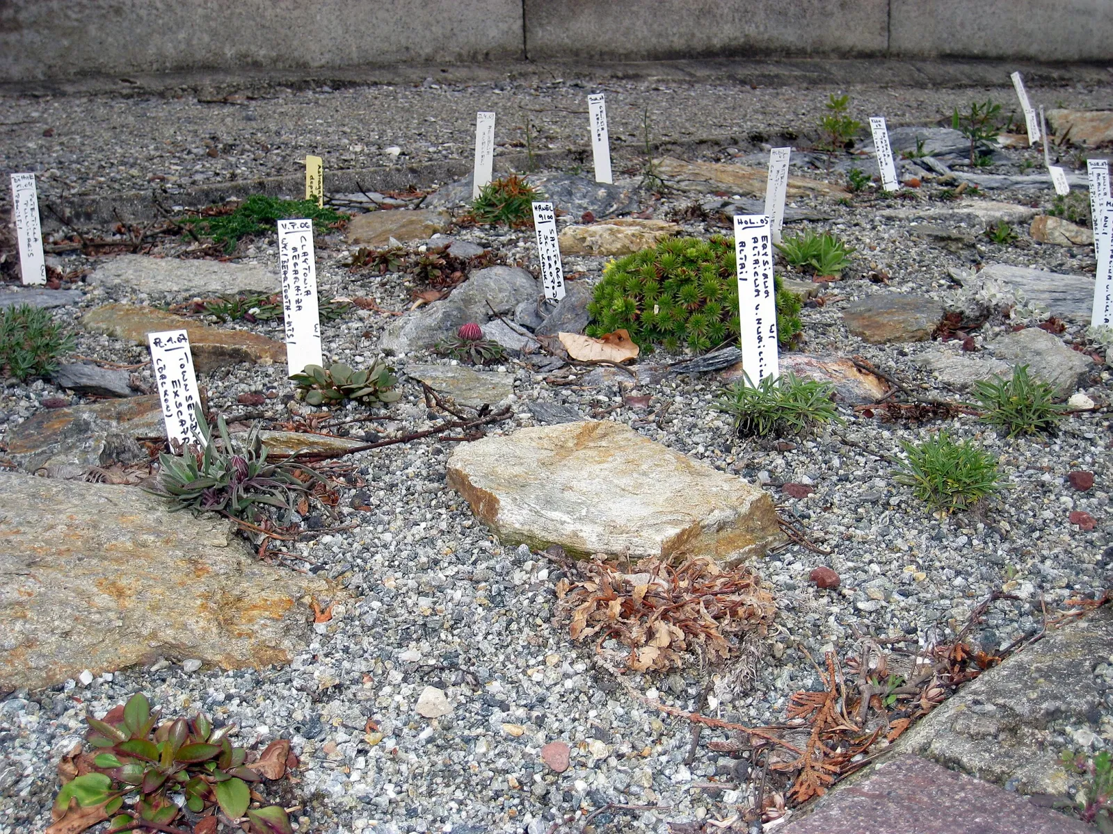 Jardín botánico de la Universidad de Innsbruck