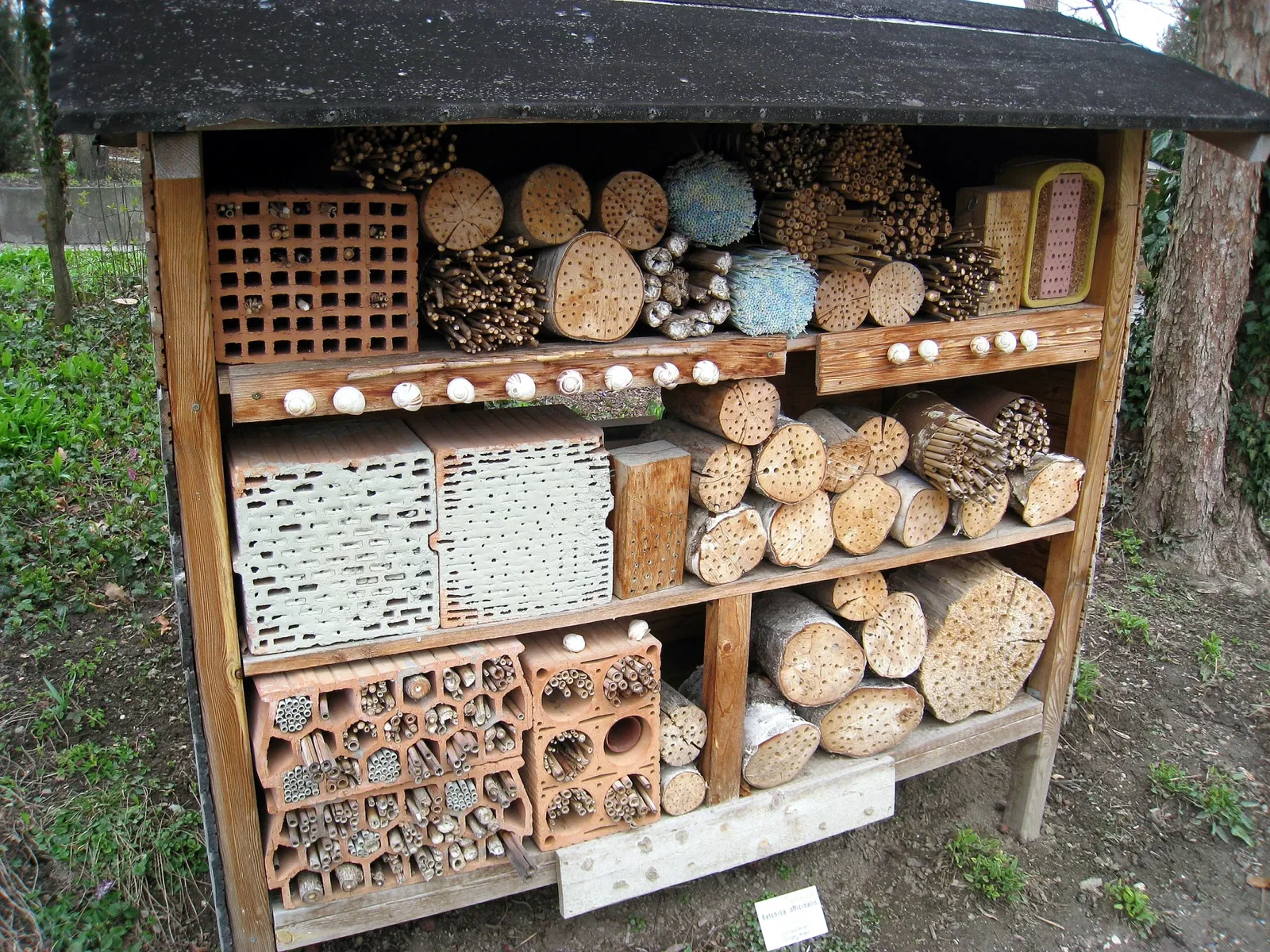 Botanical Garden of the University of Innsbruck