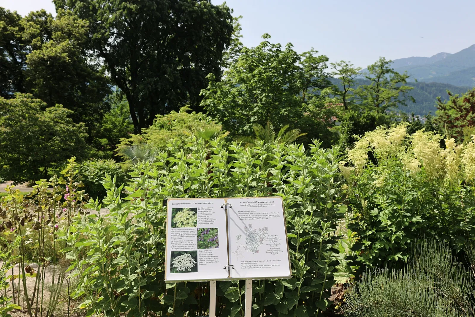 Jardín botánico de la Universidad de Innsbruck