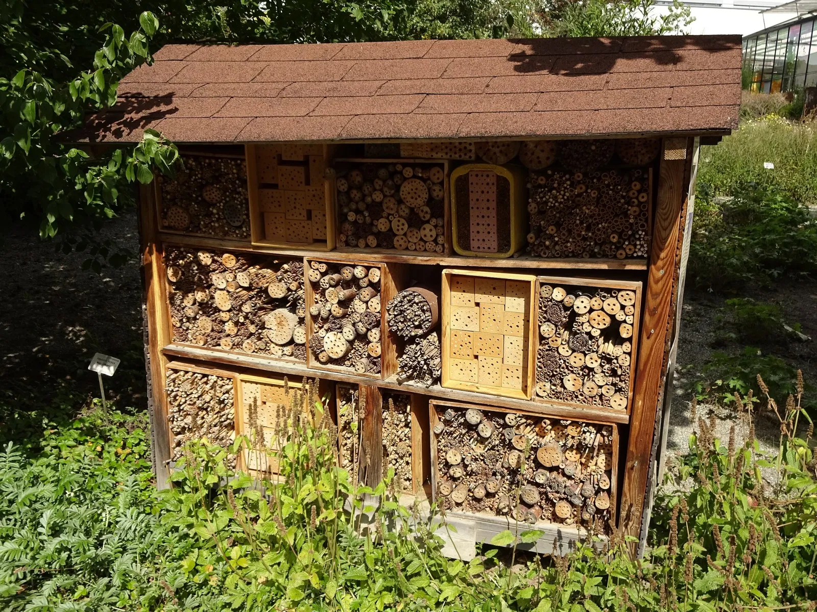 Botanical Garden of the University of Innsbruck
