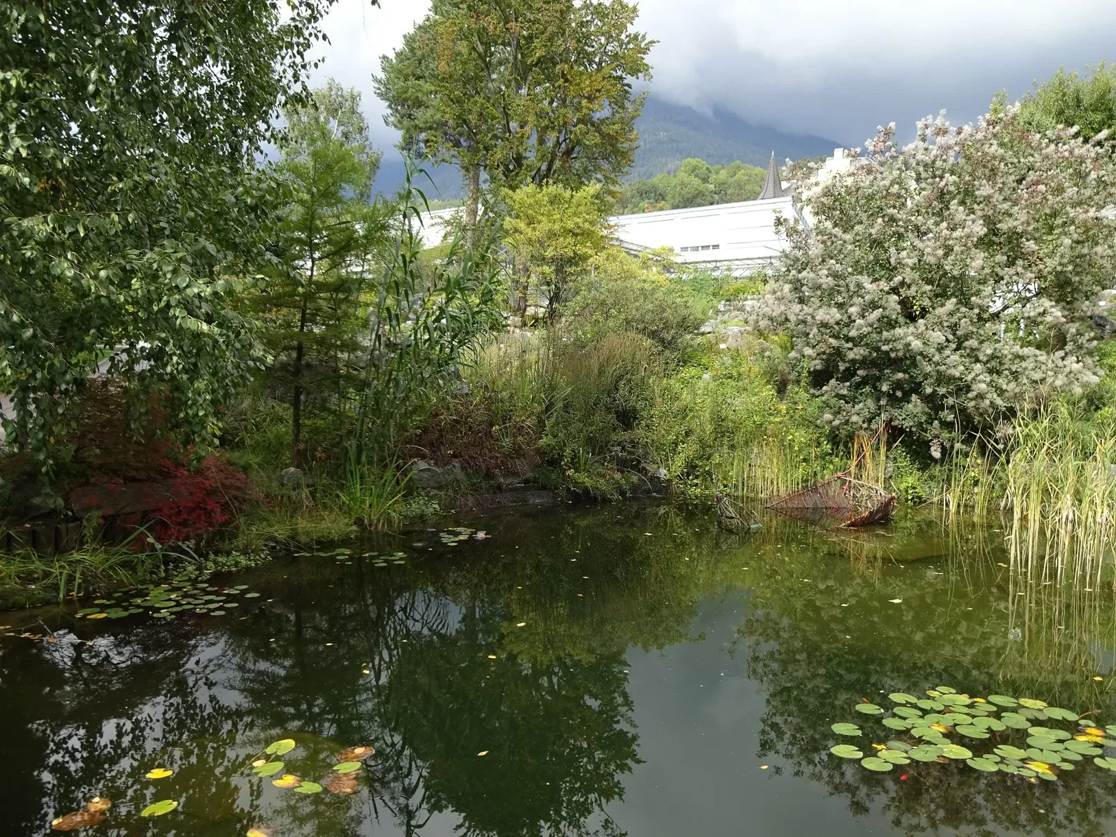 Jardín botánico de la Universidad de Innsbruck