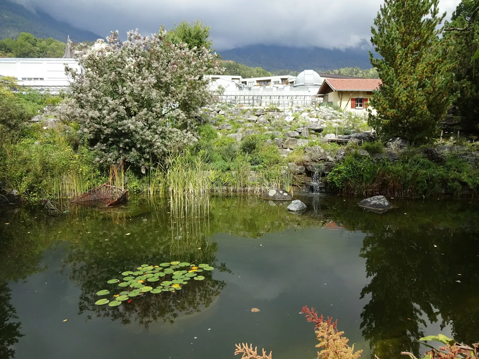 Jardín botánico de la Universidad de Innsbruck
