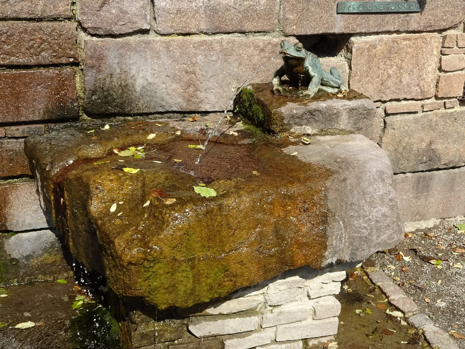 Jardín botánico de la Universidad de Innsbruck