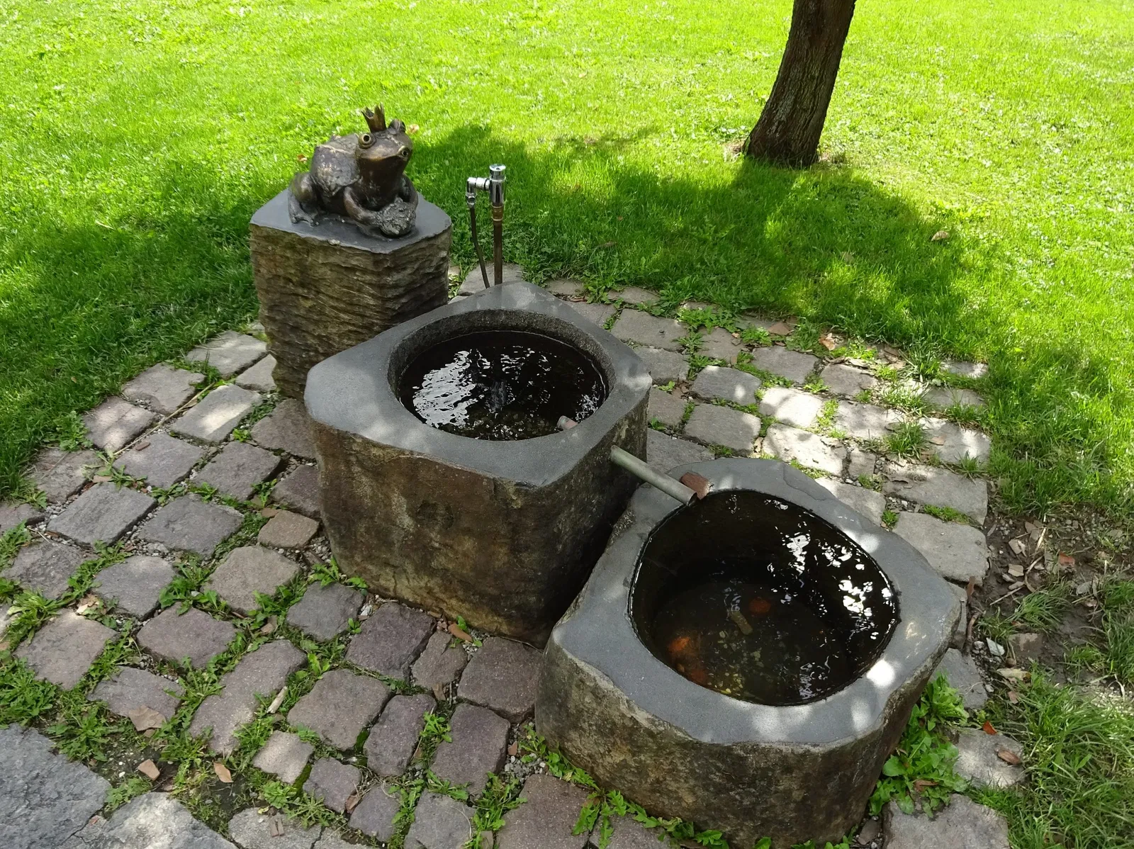 Jardín botánico de la Universidad de Innsbruck