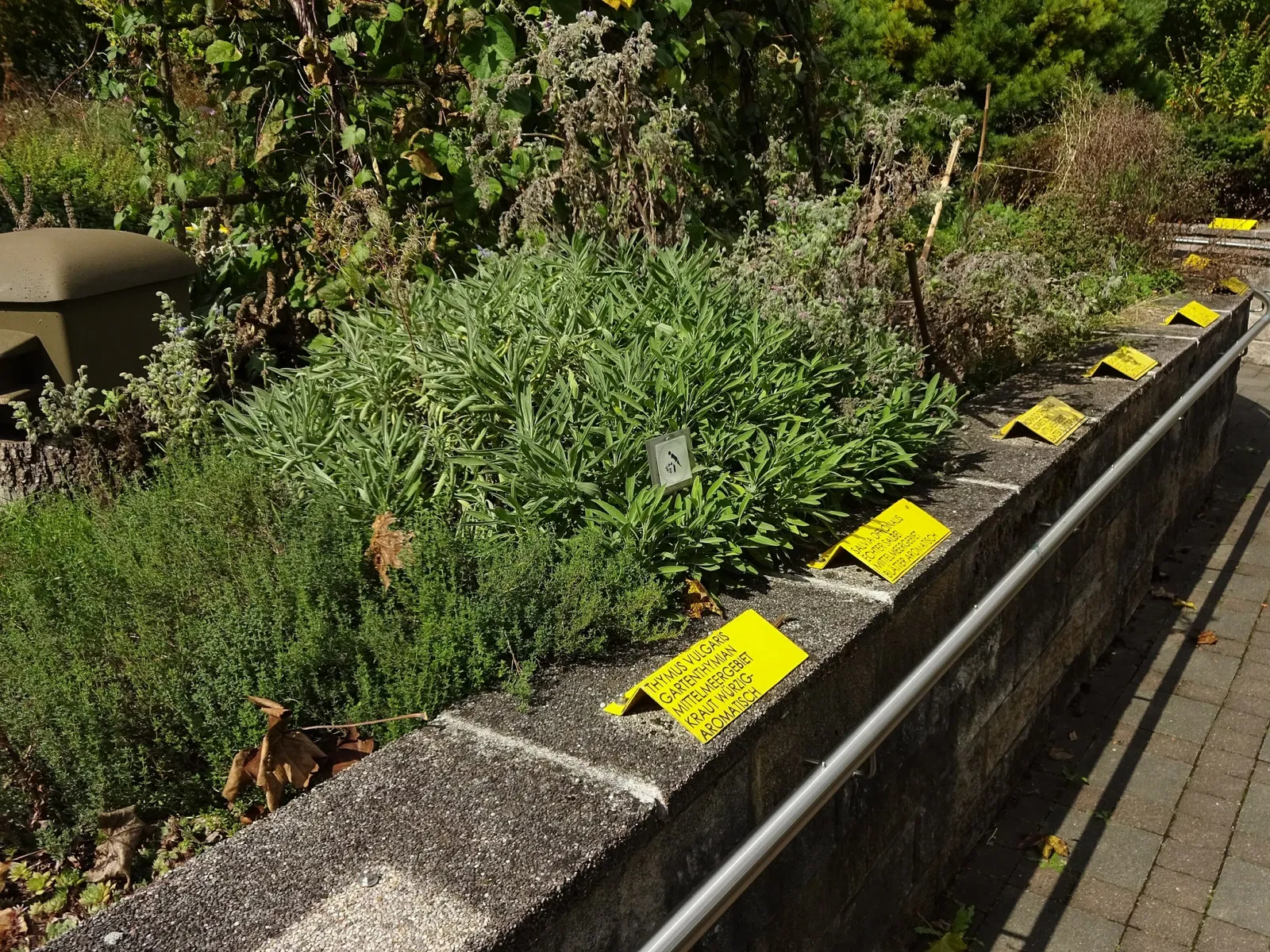 Jardin botanique de l'université d'Innsbruck