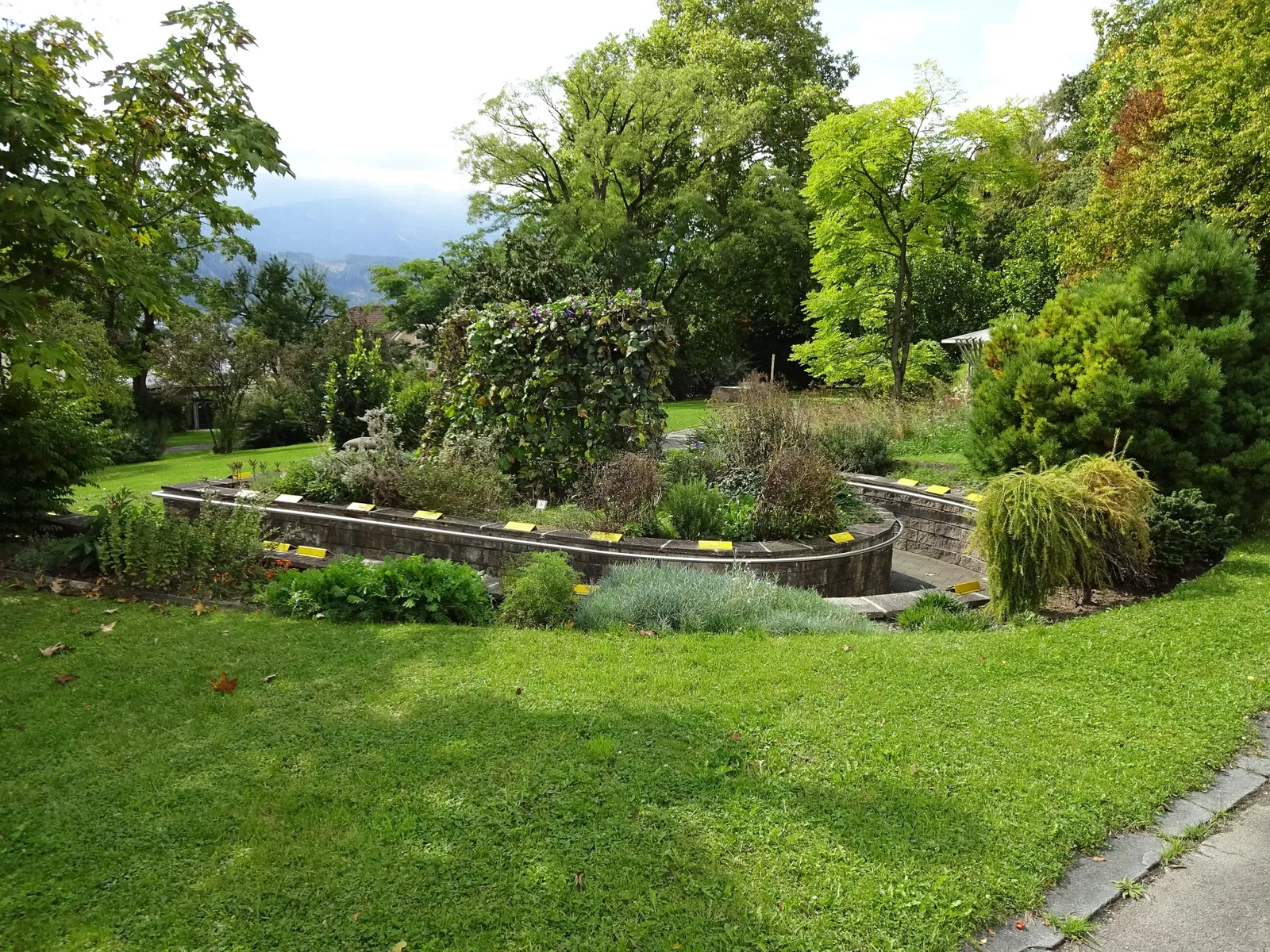 Botanical Garden of the University of Innsbruck