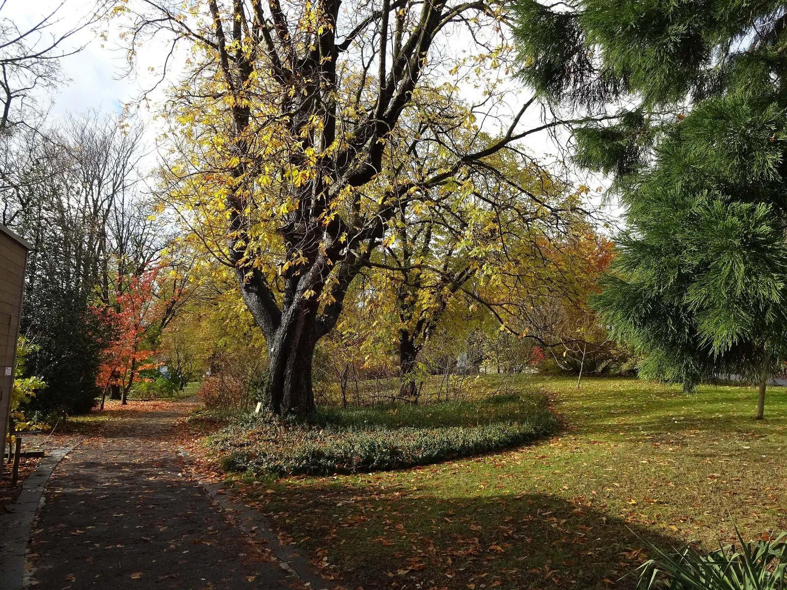 Jardin botanique de l'université d'Innsbruck