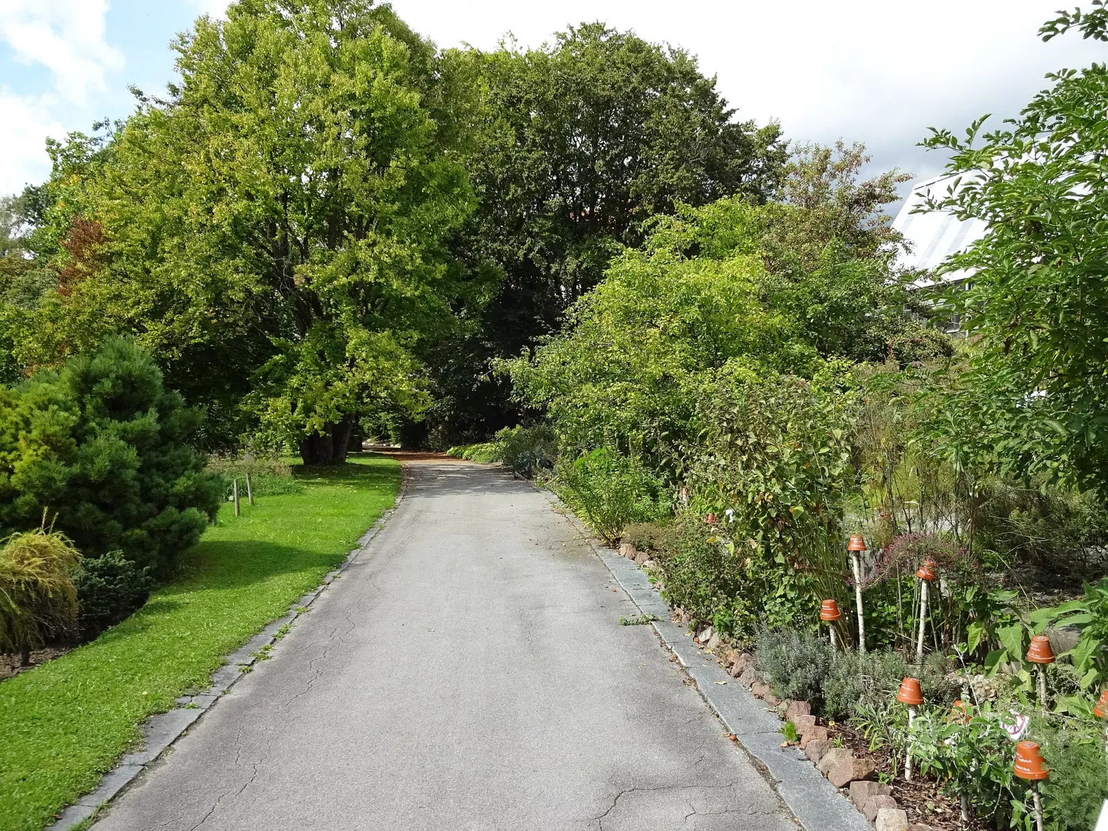Jardín botánico de la Universidad de Innsbruck