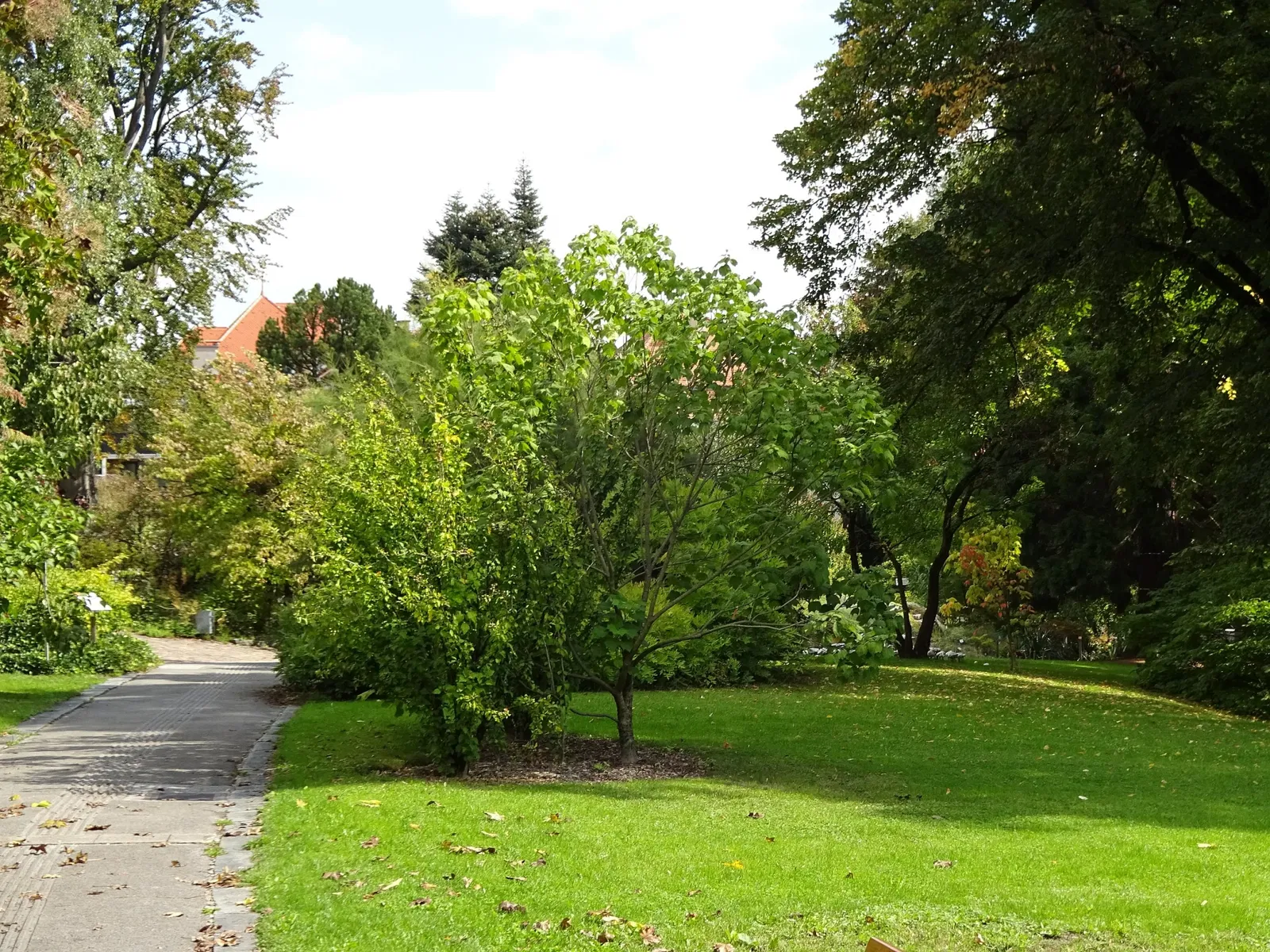 Jardin botanique de l'université d'Innsbruck