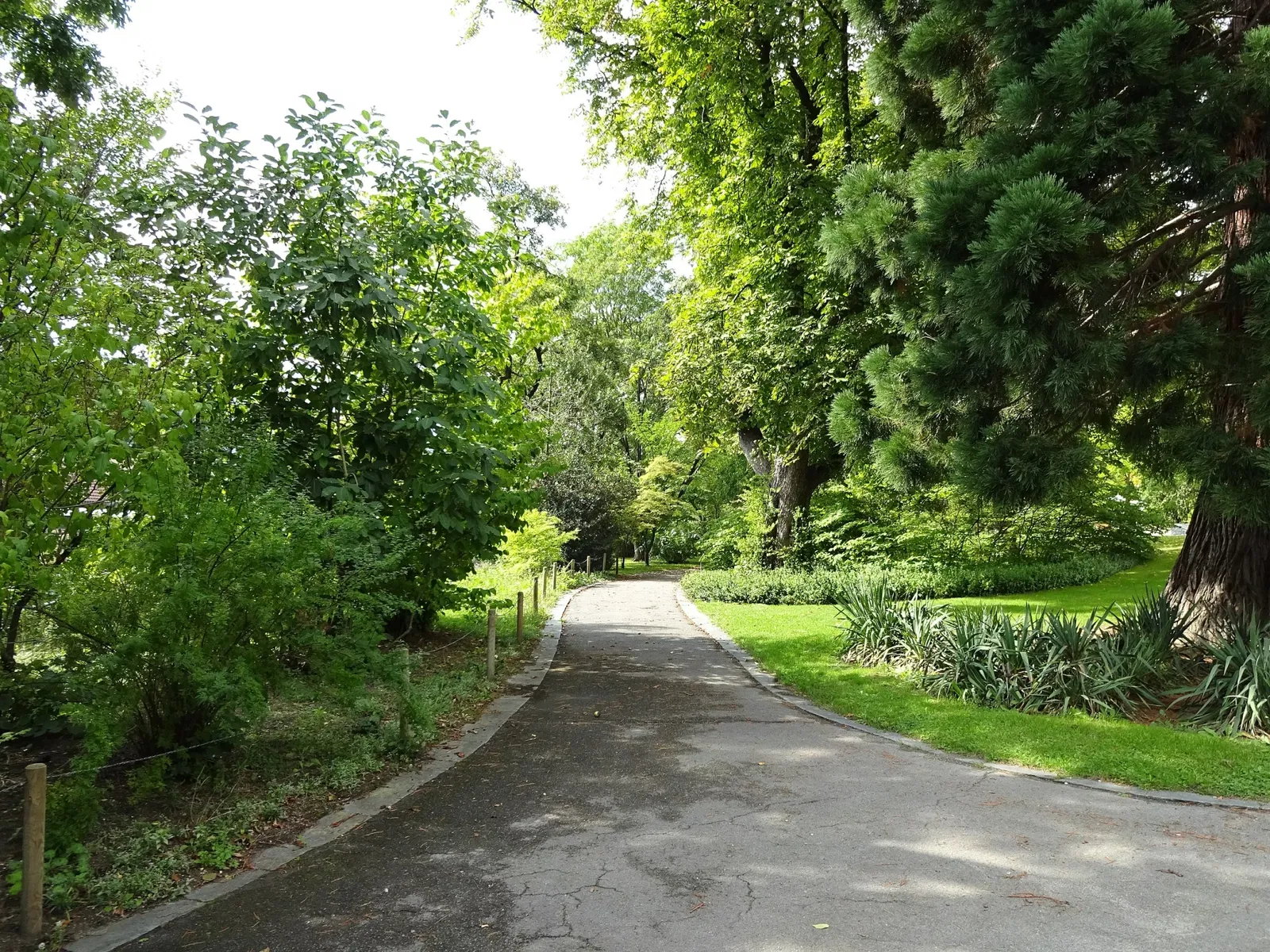 Botanical Garden of the University of Innsbruck