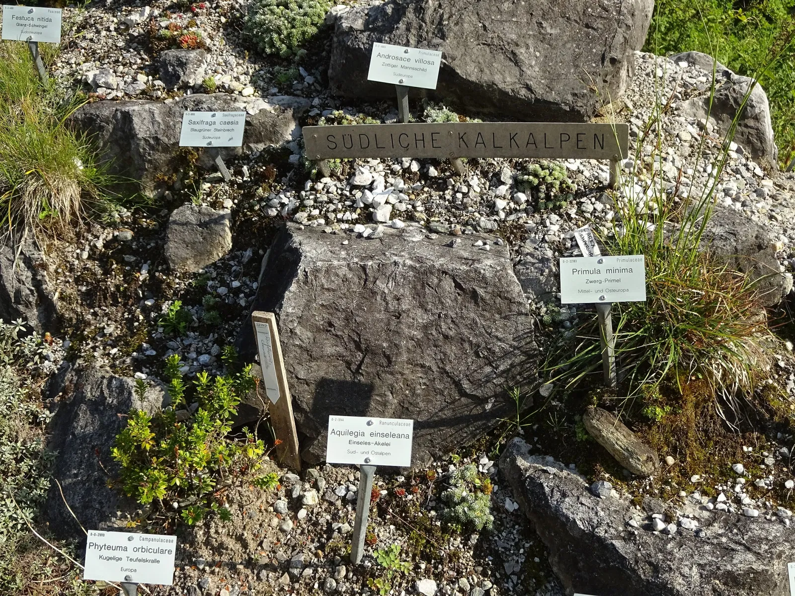 Jardin botanique de l'université d'Innsbruck