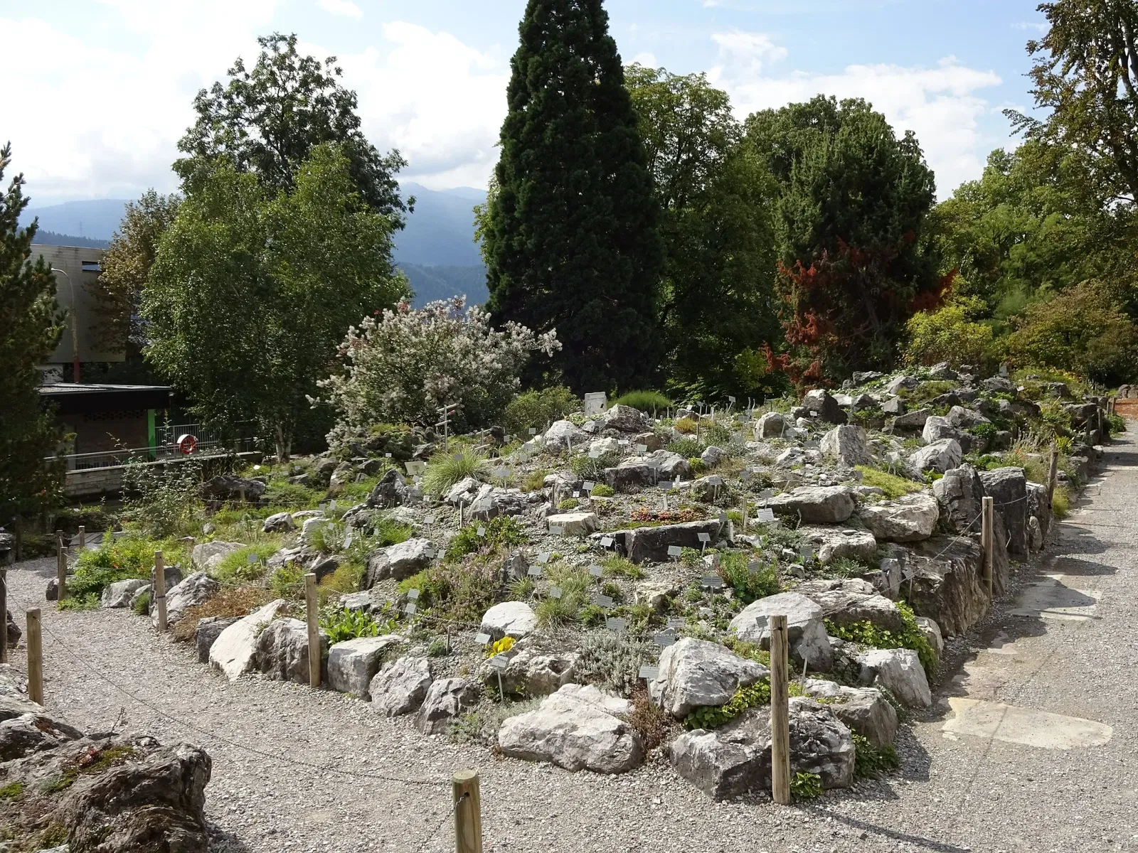 Botanical Garden of the University of Innsbruck