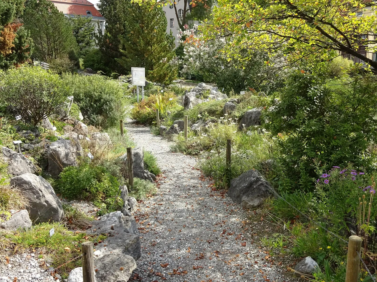 Botanical Garden of the University of Innsbruck