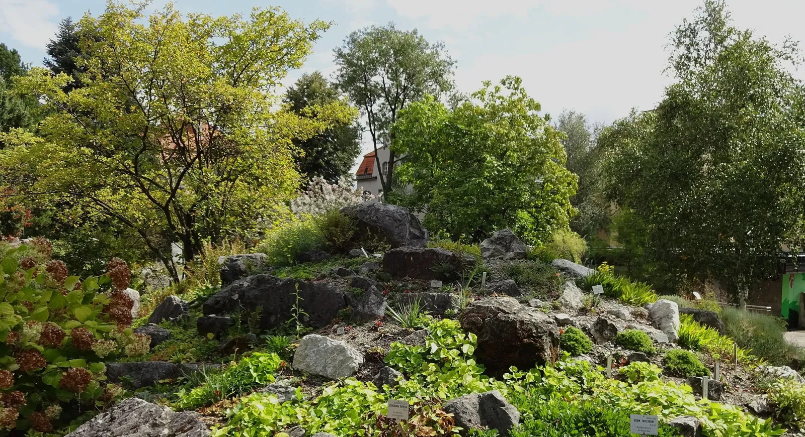 Jardín botánico de la Universidad de Innsbruck