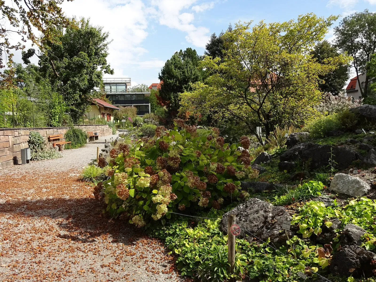 Botanical Garden of the University of Innsbruck
