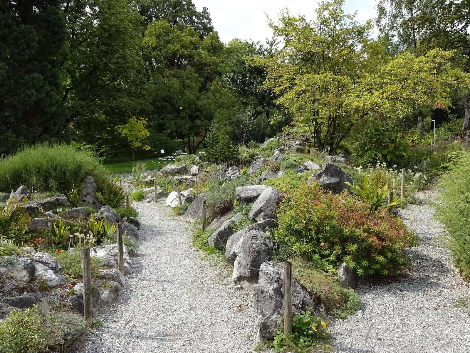 Jardin botanique de l'université d'Innsbruck