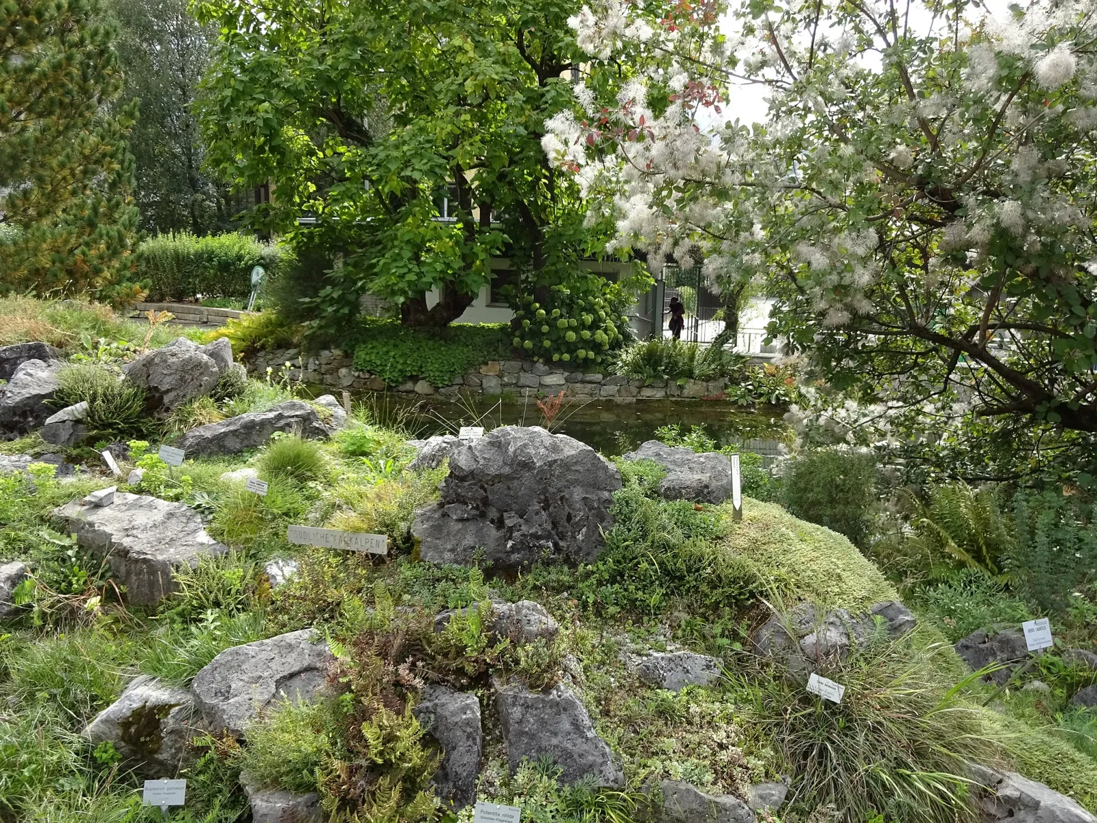 Jardin botanique de l'université d'Innsbruck