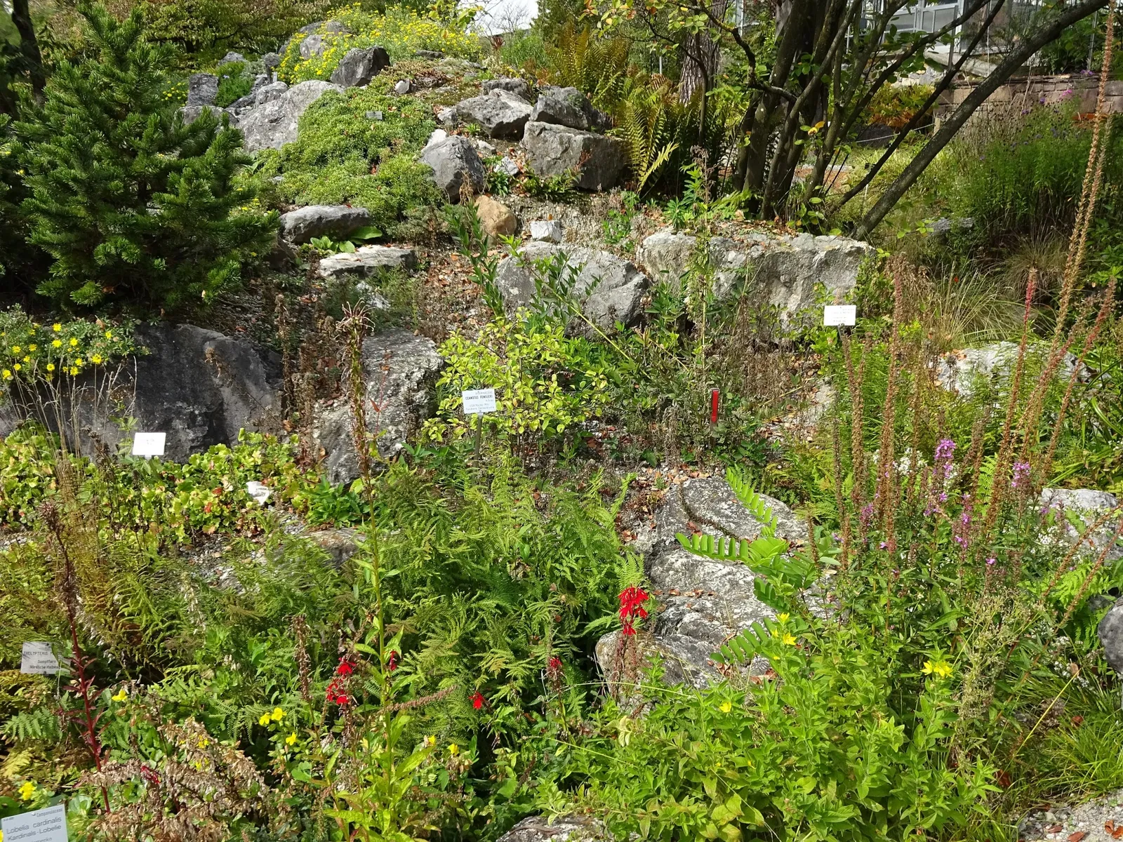 Jardín botánico de la Universidad de Innsbruck