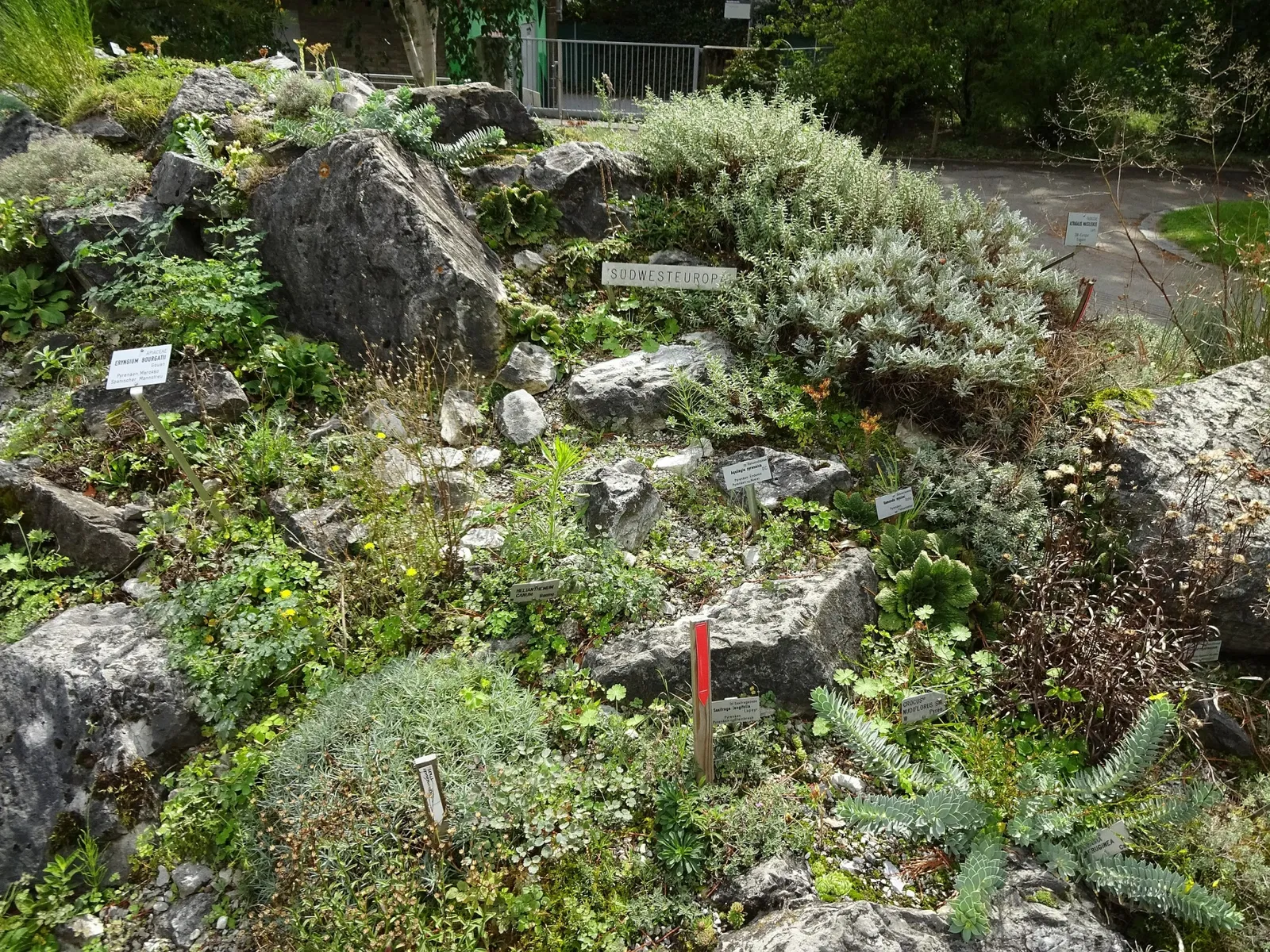 Jardín botánico de la Universidad de Innsbruck