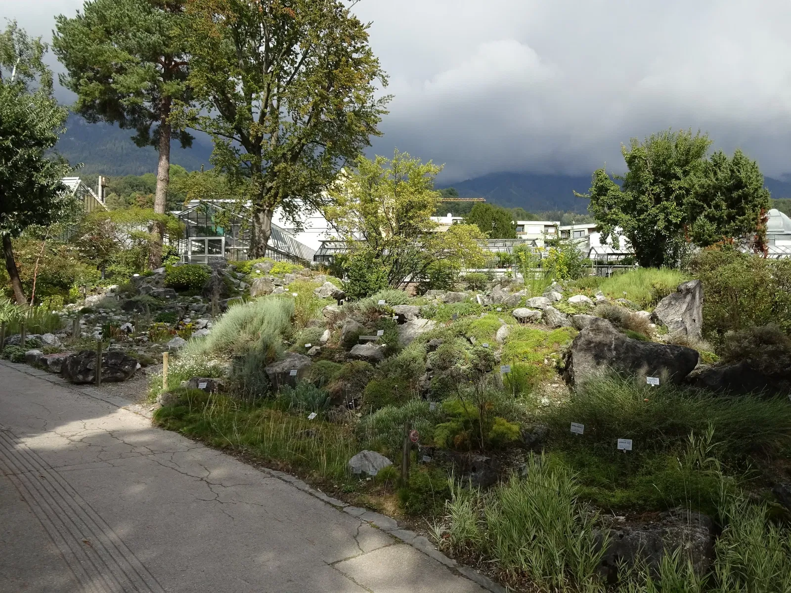 Jardín botánico de la Universidad de Innsbruck