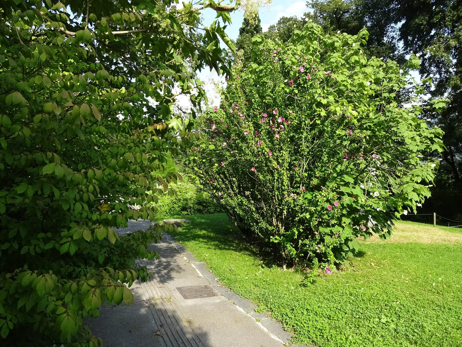 Jardin botanique de l'université d'Innsbruck