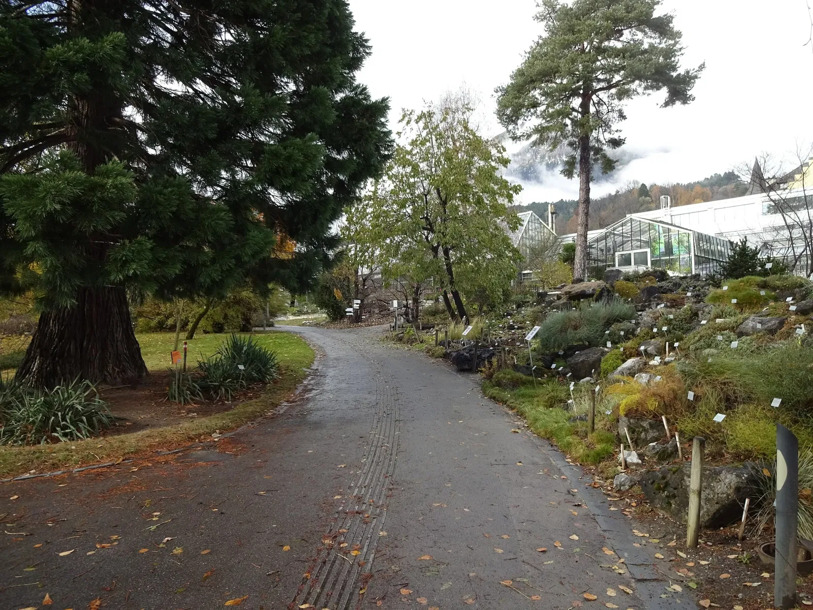 Botanical Garden of the University of Innsbruck